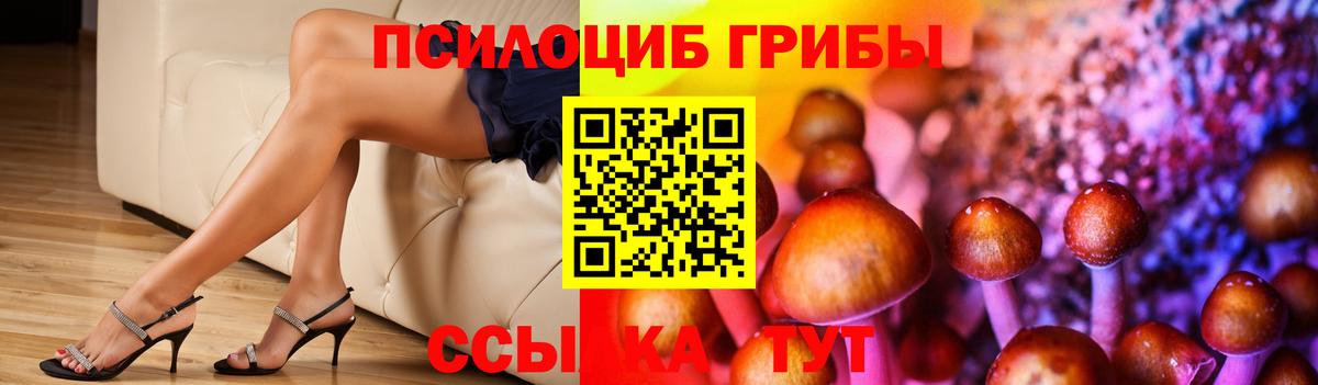Псилоцибиновые грибы Magic Shrooms  Вход с VPN  Орехово-Зуево  Псилоцибиновые грибы MAGIC MUSHROOMS 